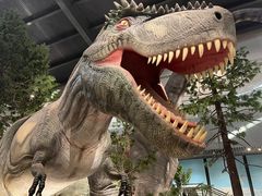 -湖南省地质博物馆