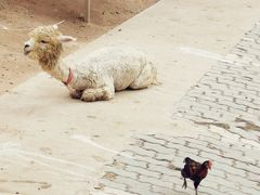 -金庭庄园酒店-停车场