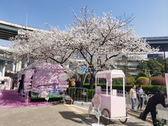 -南浦大桥长途旅游客运站
