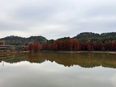 -青龙山国家森林公园