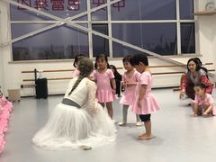-中央芭蕾舞团·中芭艺蕾(酒仙桥明星校区)