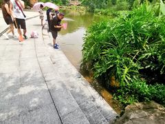 -云溪植物园