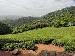 -敬亭山风景名胜区