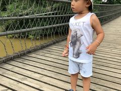 -南宁良凤江国家森林公园