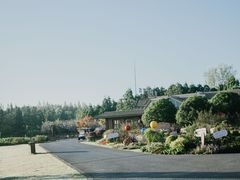 -东平国家森林公园