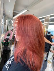 -潘多拉Hairsalon
