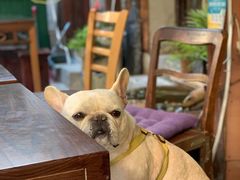 -老味道(田子坊店)