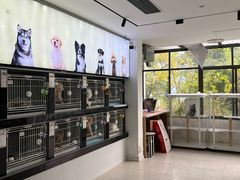 -翊宠yipet猫狗购宠庄园犬舍•猫舍