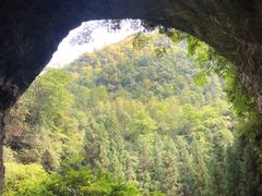 -鹿院坪生态旅游景区