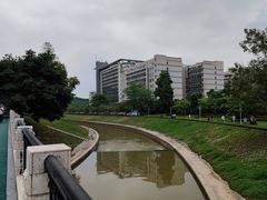-玉树公园