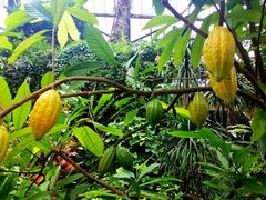 -华南国家植物园-售票处