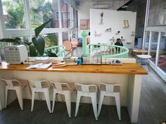 -有猫主题·治愈系猫咖(曾厝垵店)