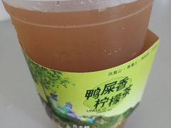 -丘大叔柠檬茶(乐峰广场分店)