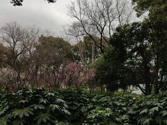 -上海醉白池公园