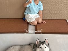 -星多哈·狗咖·拼豆·咖啡