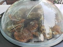 -海岸风情蒸汽海鲜自助餐厅(家宴金手勺店)
