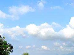 -深圳湾公园(南山区)