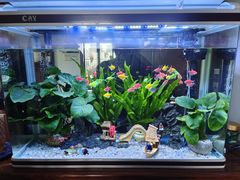 -探鱼·鲜青椒爽麻烤鱼(领展购物广场店)
