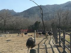 -西安秦岭野生动物园
