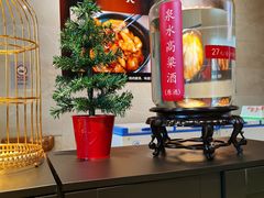 -小金鬼·煎饺·鸽子汤