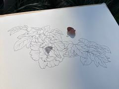-八哥美术·成人美术画室(总校区)