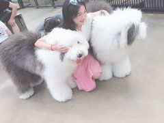 -TrueLove @ Neverland (Husky Cafe)
