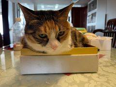 -新荟城(望京店)