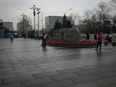 -中国人民解放军总医院(301医院)