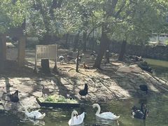 -御轩足道·SPA·养生·保健(瑞金北路店)