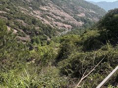 -大罗山风景区