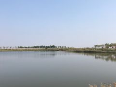 -南大港湿地风景区