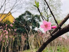 -上海市龙华烈士陵园