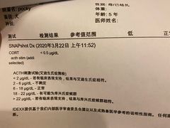 -申普宠物医院·心脏介入·心血管微创(总院)