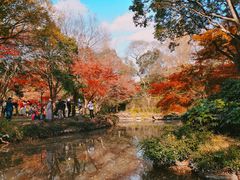 -秋霞圃