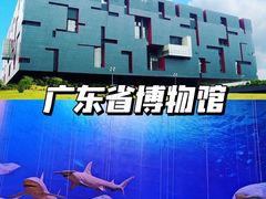 -广东省博物馆