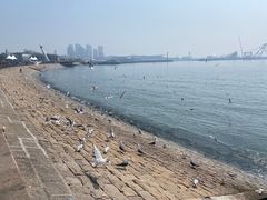 -五四广场