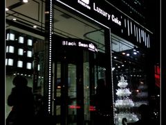 -BLACKSWAN黑天鹅(环球店)