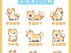-宠物寄养训练学校