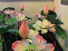 -芦月轩羊蝎子(劲松店)