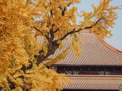 -苏州文庙(姑苏区)