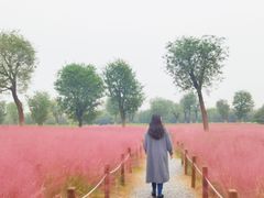 -汉长安城未央宫国家考古遗址公园