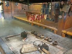 -西双版纳原始森林公园