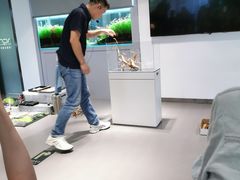 -ADA自然水景世界