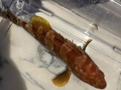 -遇外滩(BFC外滩金融中心店)