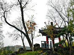 -莲湖公园
