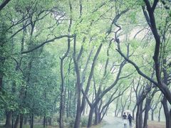 -华南国家植物园-售票处