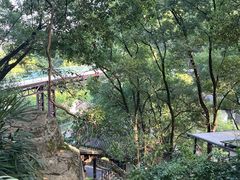 -巴倒烫陆派火锅山庄(南山总店)