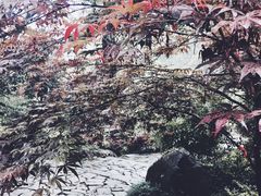 -杭州西湖风景名胜区-三生石