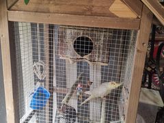 -西西里轰趴日租聚会别墅·团建拓展