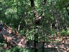 -大岭沟猕猴桃谷风景区